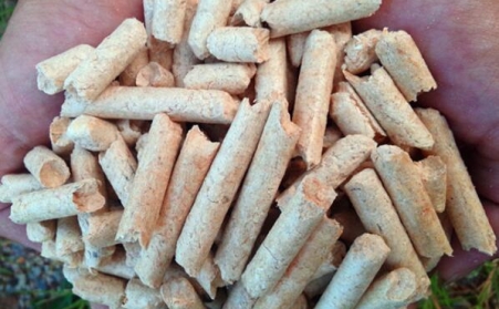 生物質(zhì)顆粒燃料成型機生產(chǎn)性能及行業(yè)發(fā)展趨勢