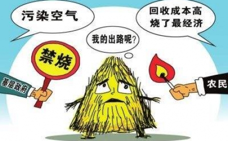 黑龍江秸稈顆粒機把秸稈從包袱變回寶貝！