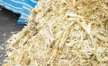 甘蔗渣想廢物利用？可以考慮生物質(zhì)顆粒機(jī)！